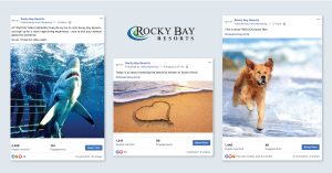 Rocky Bay Resorts